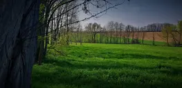 Pré Vert