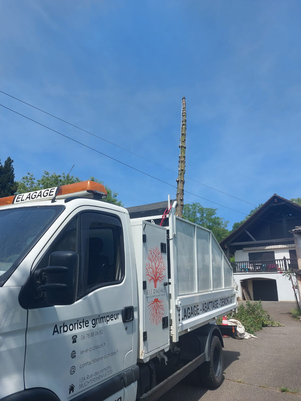 Camionnette de l'Élagueur