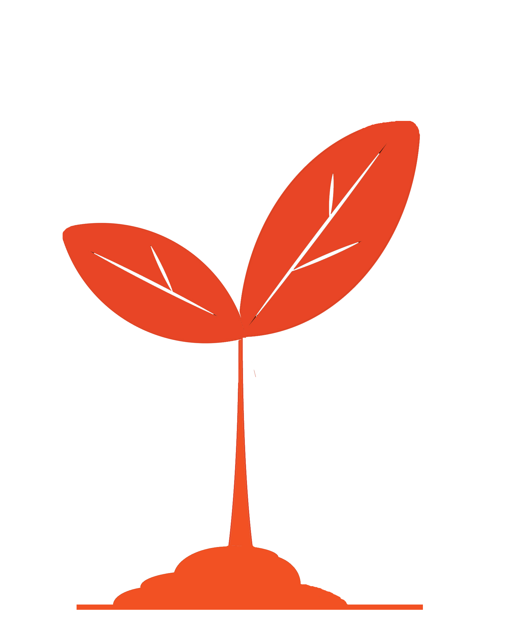 Plantation d'Arbres Icon