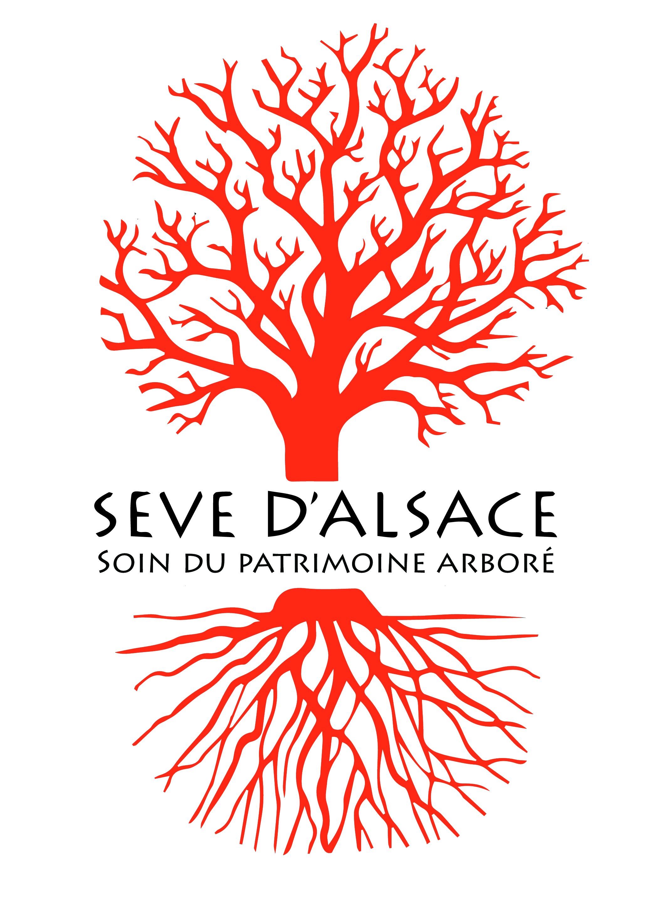Seve Logo